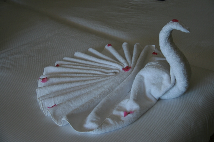 Vakantie Egypte 2010-270.jpg